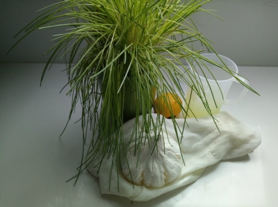 Frischkäse mit ....