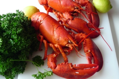 Hummer kochen, ganz einfach