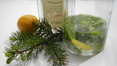 Tannenspitzen Likör mit Sekt zum Aperitif